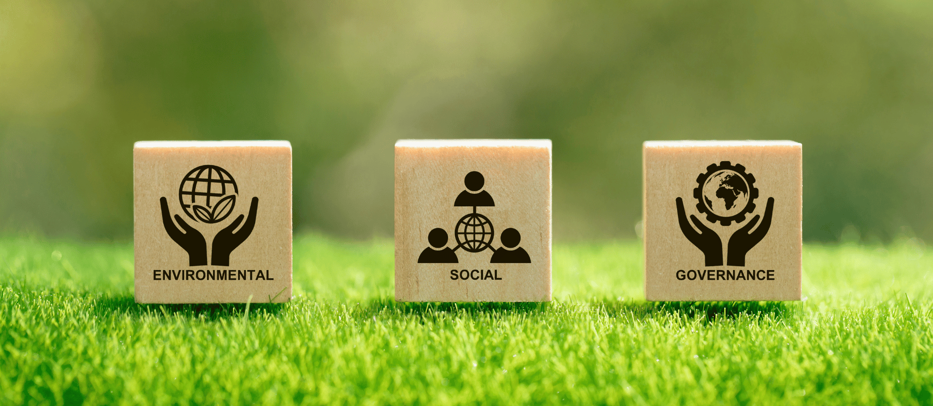 ESG